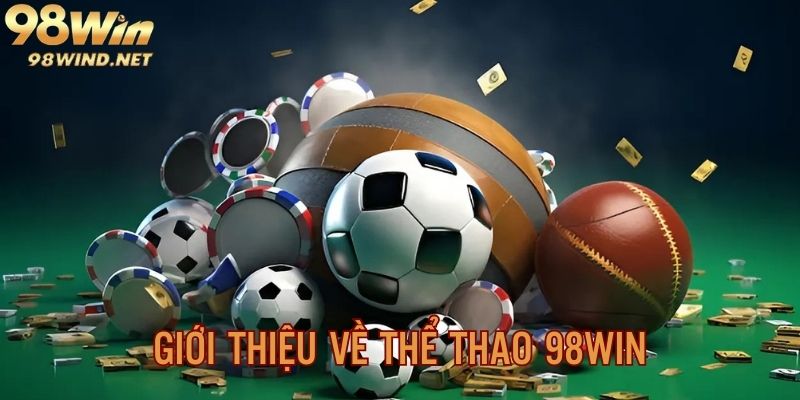 Giới thiệu sơ lược về sảnh sports cùng điểm nổi bật